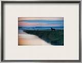 The Silent Horse in the Fog Framed Photographic Print by Trey Ratcliff