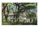 The Elms Mansion, Natchez, Mississippi Pósters The Elms Mansion, Natchez, Mississippi Pósters