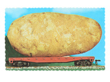 Giant Potato on Rail Car Print