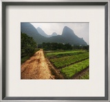 Gardens in the Mist Framed Photographic Print by Trey Ratcliff