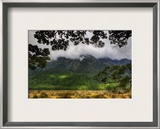 From the Forest, Across the Valley Framed Photographic Print by Trey Ratcliff