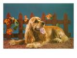 Cocker Spaniel, Retro Print