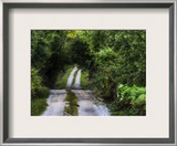 Your Road Ahead Framed Photographic Print by Trey Ratcliff