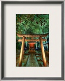 Hidden Temple in Bamboo at Night Framed Photographic Print by Trey Ratcliff