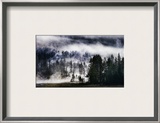 The Forest on the Mega Volcano Framed Photographic Print by Trey Ratcliff