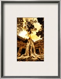 Swallowing the Ruins Framed Photographic Print by Trey Ratcliff