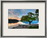 Tree at the Serene Lake Framed Photographic Print by Trey Ratcliff