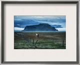Horse in Landscape Framed Photographic Print by Trey Ratcliff