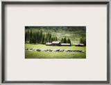 Horses at f/1.4 Framed Photographic Print by Trey Ratcliff