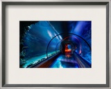 The Secret Underwater Passage Framed Photographic Print by Trey Ratcliff