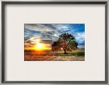 A Sunset on a Texas Farm Framed Photographic Print by Trey Ratcliff