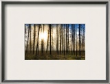 The Skeletons at Sunrise Framed Photographic Print by Trey Ratcliff