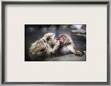 A Gentle Kiss in the Hot Tub Framed Photographic Print by Trey Ratcliff