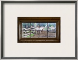 Horse in Window Framed Photographic Print by Trey Ratcliff