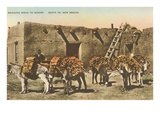 Burros with Firewood, Santa Fe, New Mexico Posters