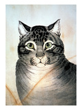 Currier & Ives: Cat Giclee Print by Nathaniel Currier