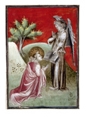 Saint John reproduction procédé giclée par Andreas Cellarius