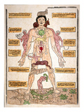 Bloodletting Chart, 1493 Lámina giclée por Johannes De Ketham