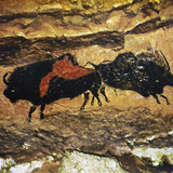 Cave Art: Bison Photographic Print