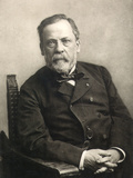 Louis Pasteur (1822-1895) Photographie par Gaspard Felix Tournachon Nadar