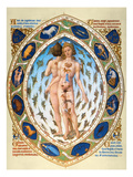 Anatomical Man Giclee Print