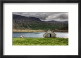 The Sheep and the Lonely House Lámina fotográfica enmarcada por Trey Ratcliff