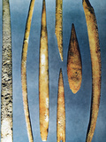 Paleolithic Spears Fotografie-Druck