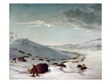 Buffalo Chase In Winter reproduction procédé giclée par George Catlin