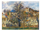 Pissarro: Garden, 1877 Lámina giclée por Camille Pissarro