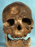 Cro-Magnon Skull Photographic Print