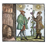 Wine Merchant, 1582 Giclee Print