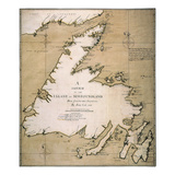Cook: Newfoundland, 1763 Giclee Print by James Cook