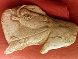 Prehistoric Bison Carving Lámina fotográfica por Elizabeth Blackwell
