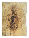 Leonardo: Anatomy, C1510 Giclée-Druck von Arthur Rackham