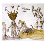 Mandrake And Herbalist Giclee Print