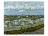 Van Gogh: Peach Tree, 1889 Giclee Print by Vincent van Gogh