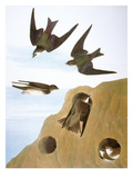 Audubon: Swallows, 1827-38 Giclee Print by John James Audubon