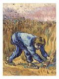 Van Gogh: The Reaper, 1889 Wydruk giclee autor Vincent van Gogh