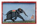 Elephant & Trainer, C1750 Giclee Print
