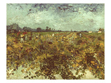 Van Gogh: Vineyard, 1888 reproduction procédé giclée par Vincent van Gogh