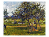Pissarro: Wheelbarr., 1881 reproduction procédé giclée par Camille Pissarro
