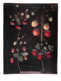Jordbær Giclee-trykk av George Brookshaw Jordbær Giclee-trykk av George Brookshaw