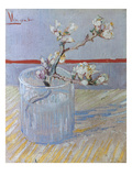 Van Gogh: Branch, 1888 Giclee Print by Vincent van Gogh