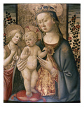 Madonna & Child Giclee Print by John James Audubon