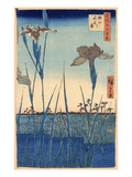 Japan: Iris Garden, 1857 Giclee Print by Ando Hiroshige