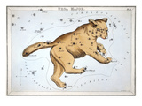 Astronomy: Ursa Major reproduction procédé giclée par Sidney Hall