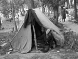 Homeless Boy, 1937 Photographic Print by Russell Lee