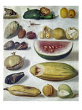 Bustos: Still Life, 1874 Giclee-trykk av Hermenegildo Bustos