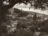 Mount Of Olives Photographic Print