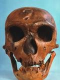 Neanderthal Skull Photographic Print